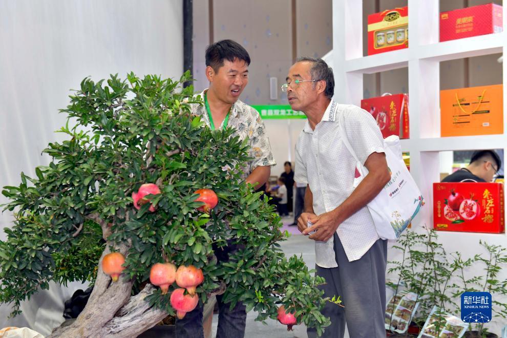 瑞丰赌城网站
